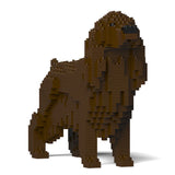 English Cocker Spaniel 01-M04