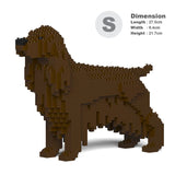 Englischer Cocker Spaniel 01-M04 