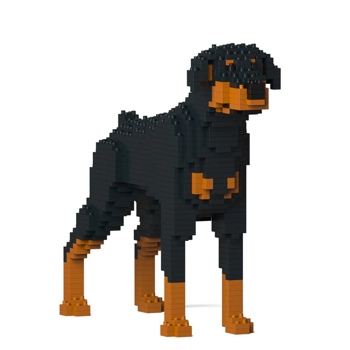 Dobermann 01-M01 