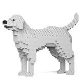 Labrador Retriever 01-M02 