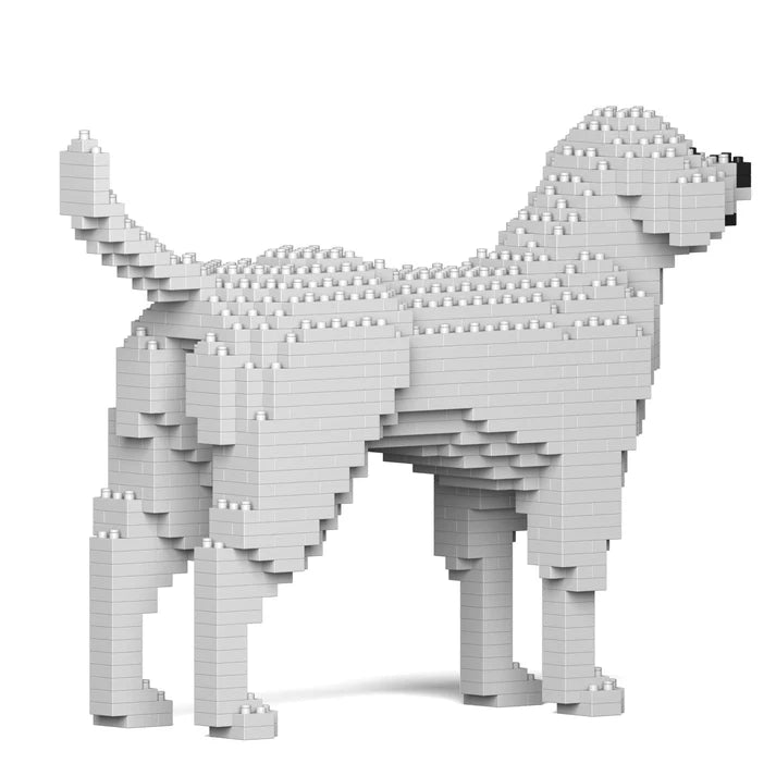 Labrador Retriever 01-M02 