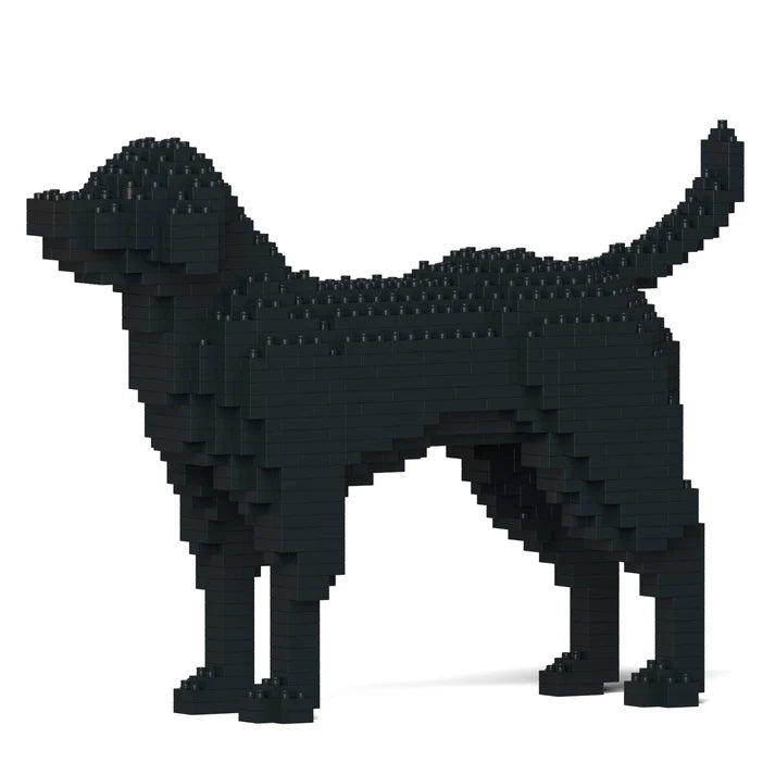 Labrador Retriever 01-M03 