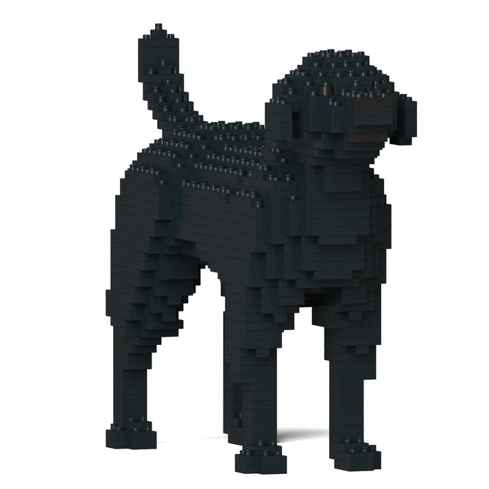 Labrador Retriever 01-M03 