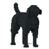 Labrador Retriever 01-M03