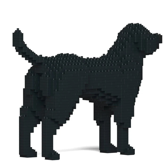 Labrador Retriever 01-M03