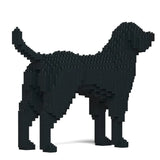 Labrador Retriever 01-M03