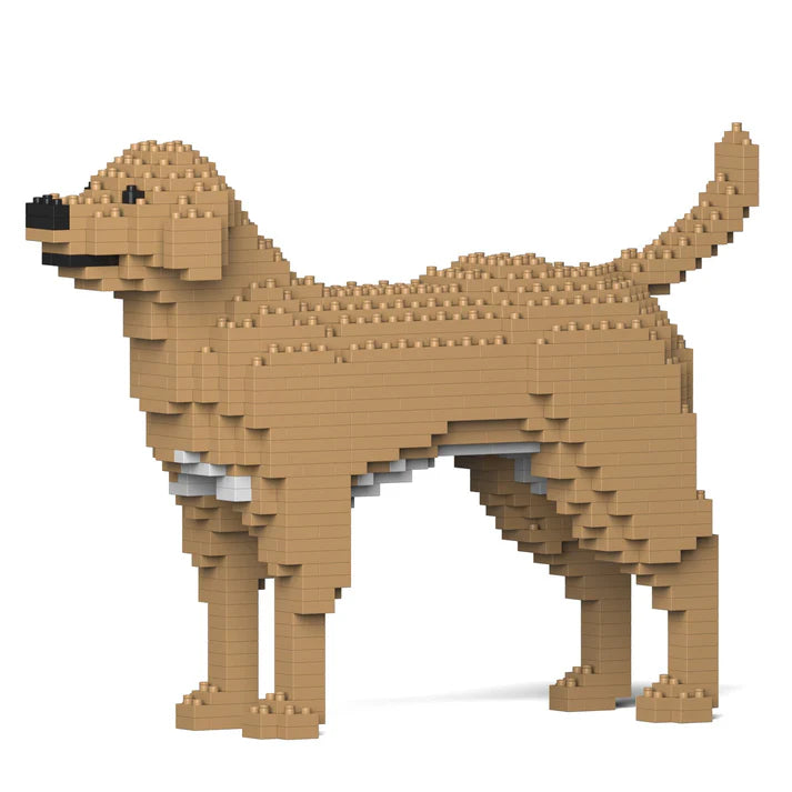 Labrador Retriever 01-M04 