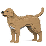 Labrador Retriever 01-M04