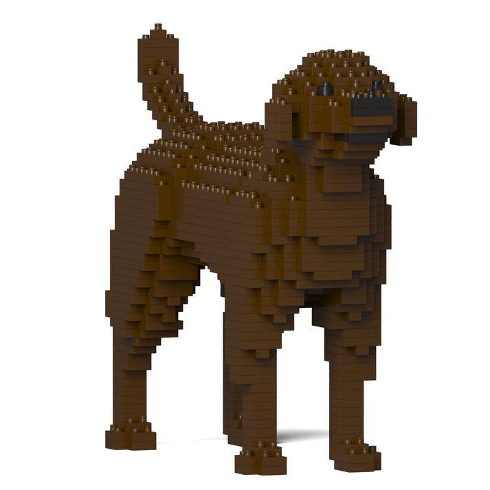 Labrador Retriever 01-M05 