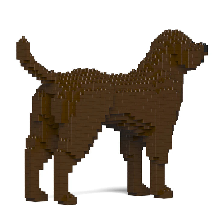 Labrador Retriever 01-M05