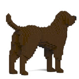 Labrador Retriever 01-M05 