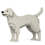 Labrador Retriever 01-M06