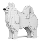 Samoyed 01