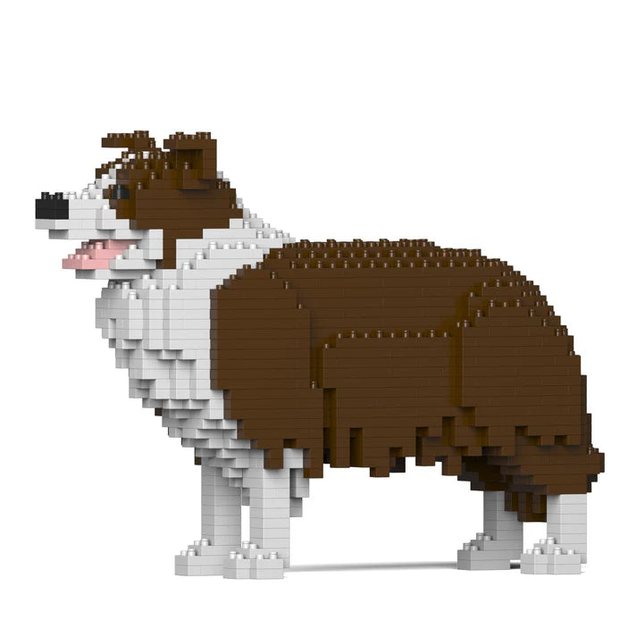 Border Collie 01-M02 