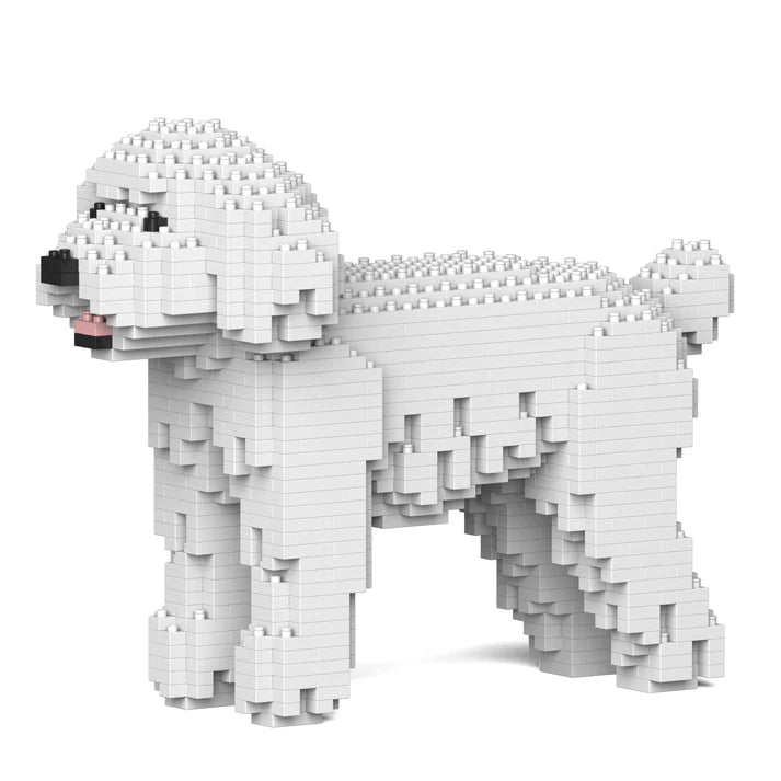 Caniche toy 01-M01 