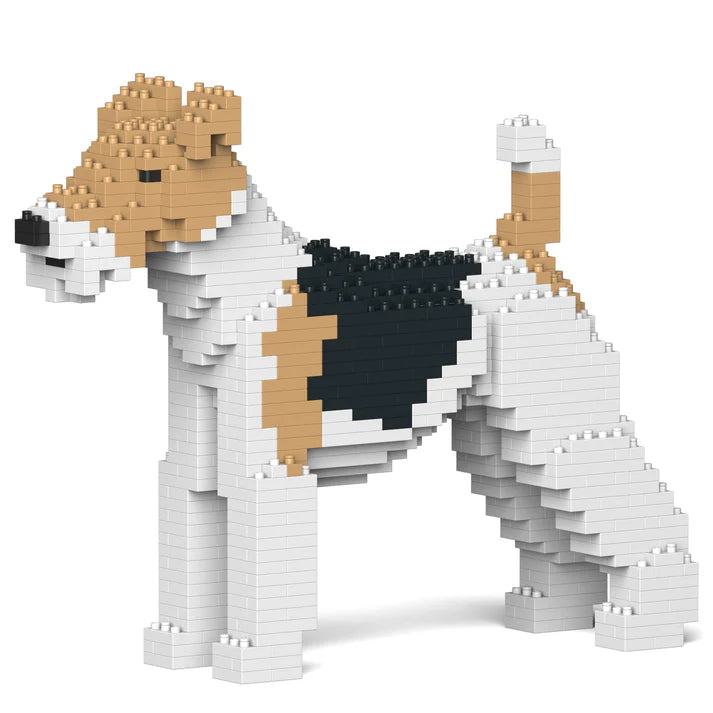 Fox terrier de pelo duro 01 