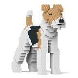 Fox terrier de pelo duro 01 