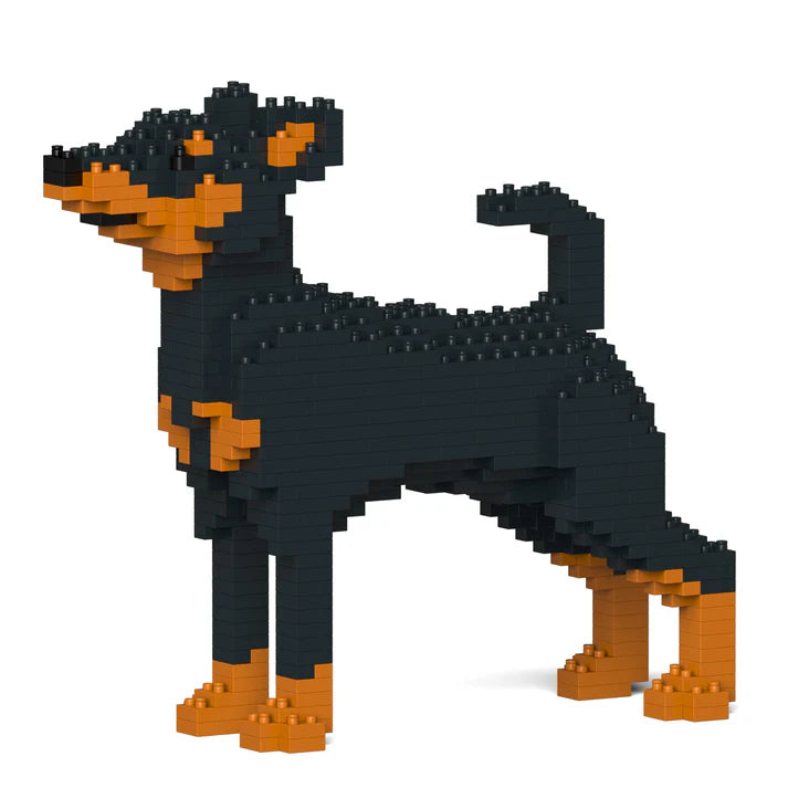 Pinscher miniatura 01-M01 