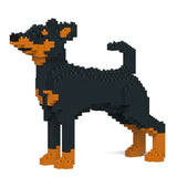 Zwergpinscher 01-M01 