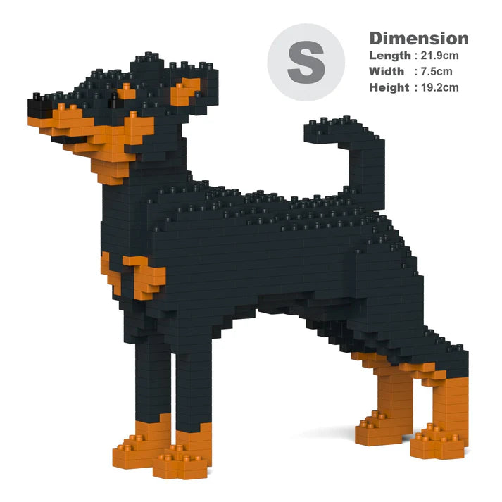 Pinscher miniatura 01-M01 