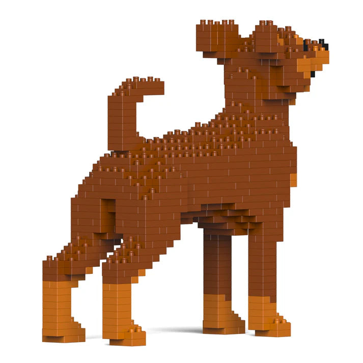 Zwergpinscher 01-M02 