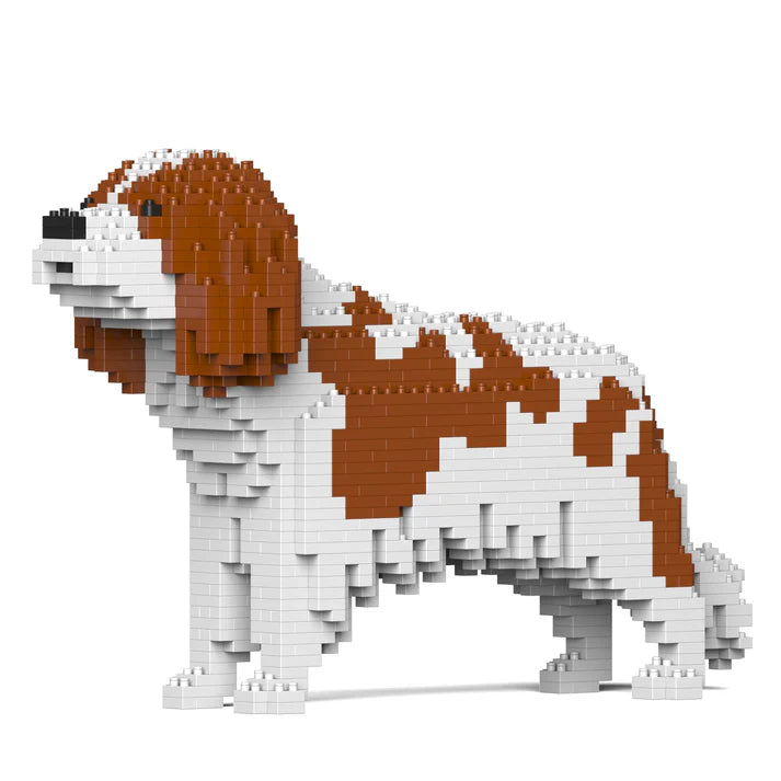 Cavalier King Charles Spaniel 01-M01 