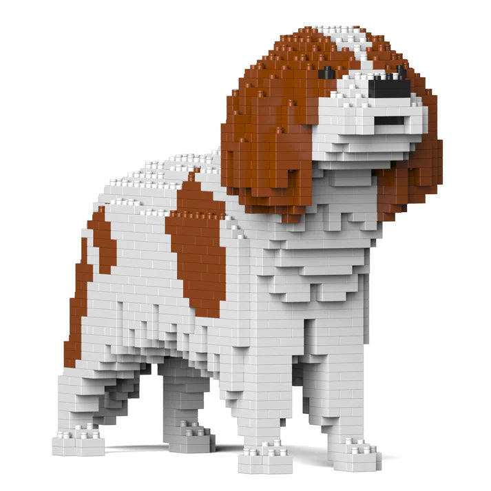 Cavalier King Charles Spaniel 01-M01