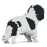 Cavalier King Charles Spaniel 01-M02 