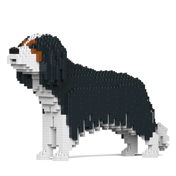 Cavalier King Charles Spaniel 01-M03 