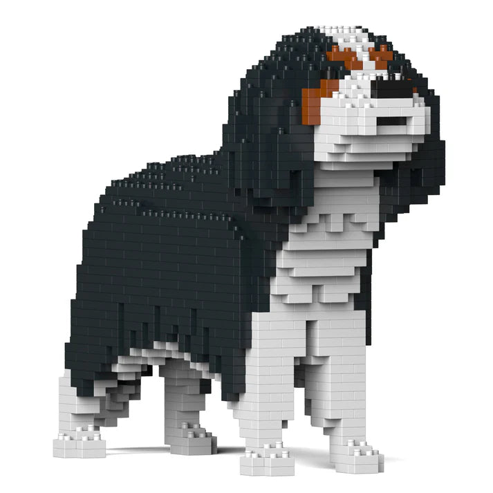 Cavalier King Charles Spaniel 01-M03 