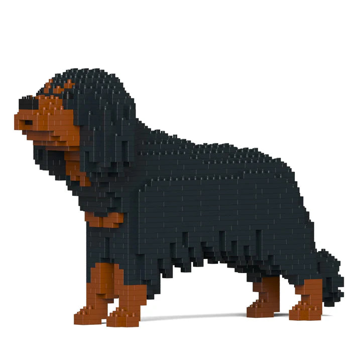 Cavalier King Charles Spaniel 01-M04 