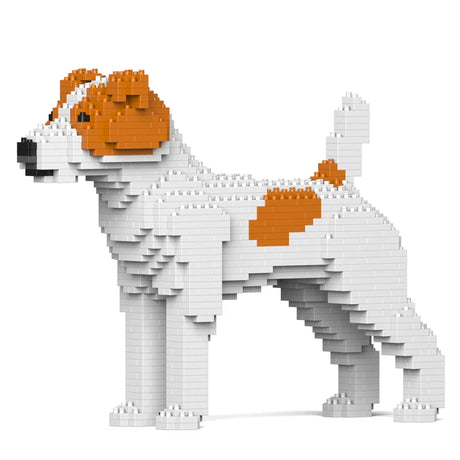 Jack Russell Terrier 01-M01 