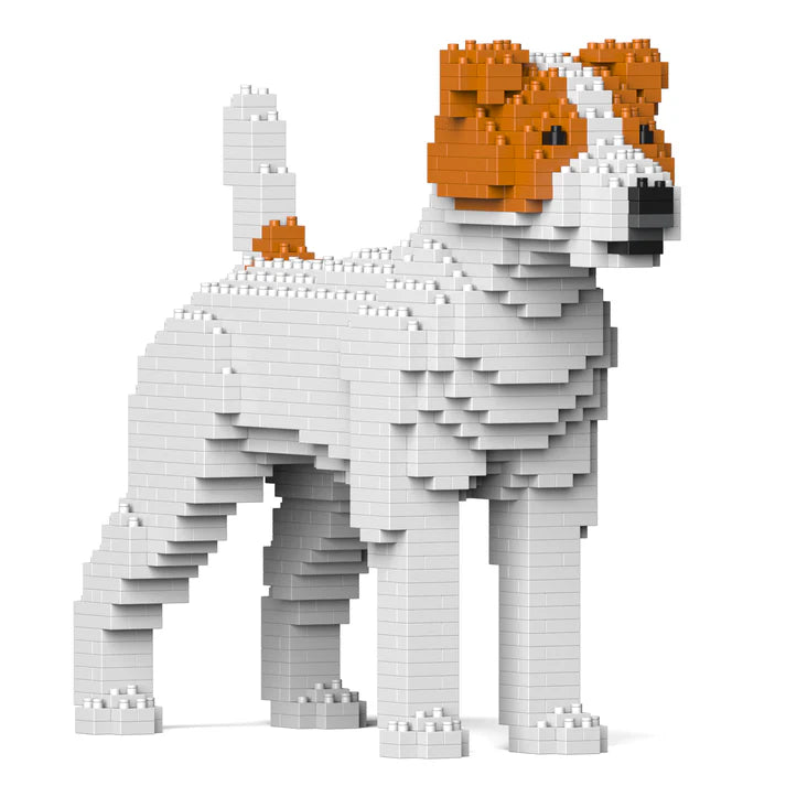 Jack Russell Terrier 01-M01 