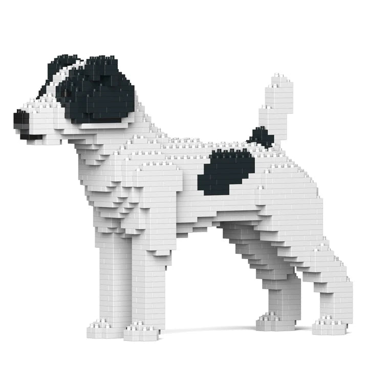 Jack Russell Terrier 01-M02 