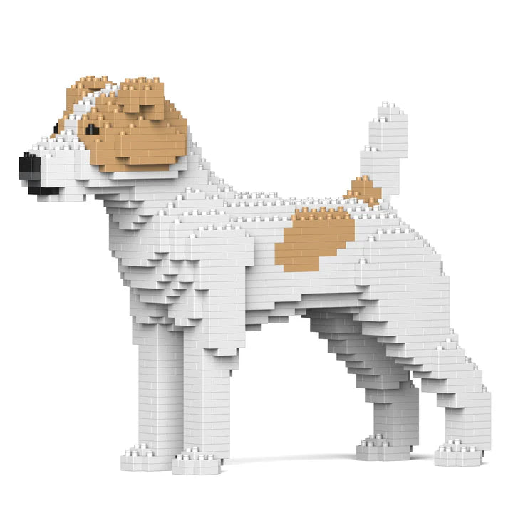 Jack Russell Terrier 01-M03 