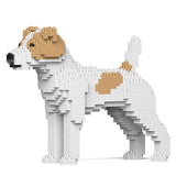 Jack Russell Terrier 01-M03