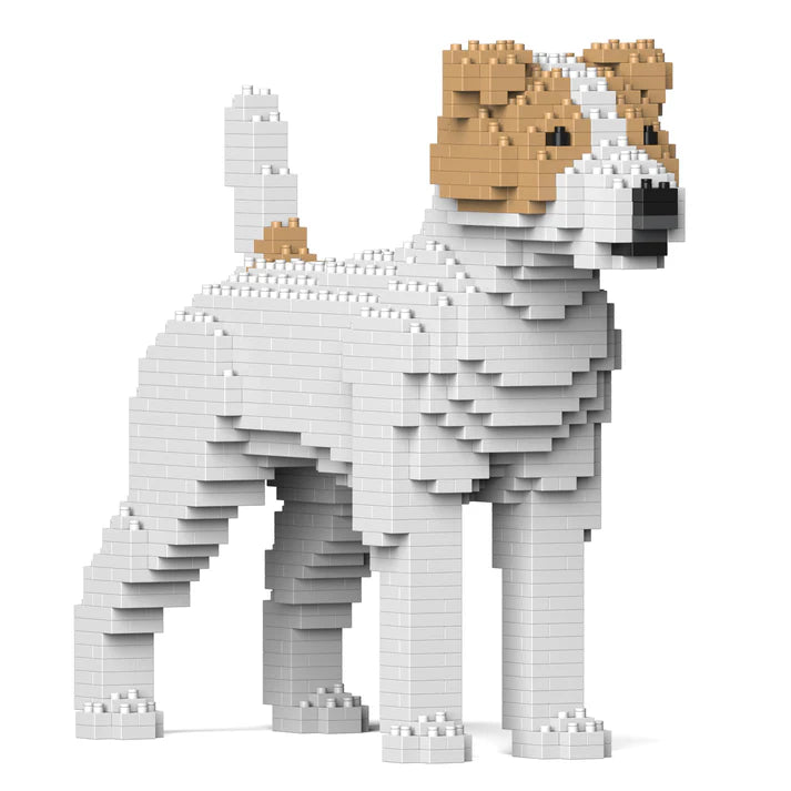 Jack Russell Terrier 01-M03