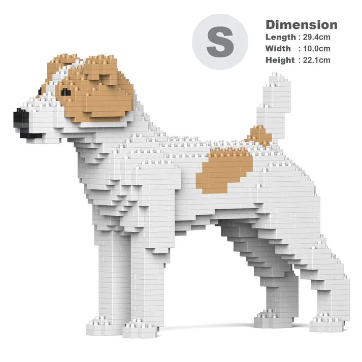 Jack Russell Terrier 01-M03 