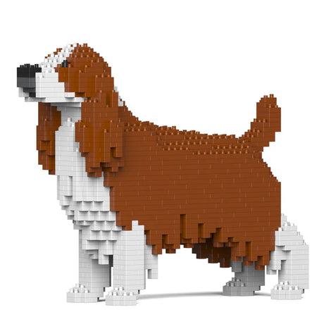 Springer Spaniel Inglés 01-M01 