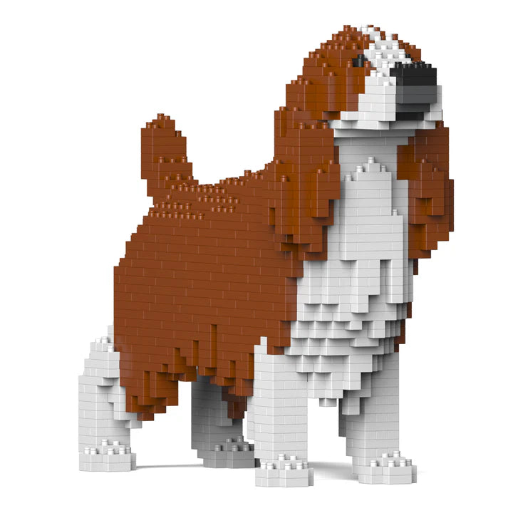 Springer Spaniel Inglés 01-M01 