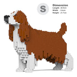 English Springer Spaniel 01-M01 