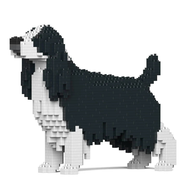 English Springer Spaniel 01-M02 