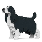 English Springer Spaniel 01-M02