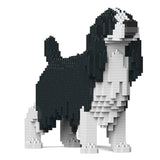 English Springer Spaniel 01-M02