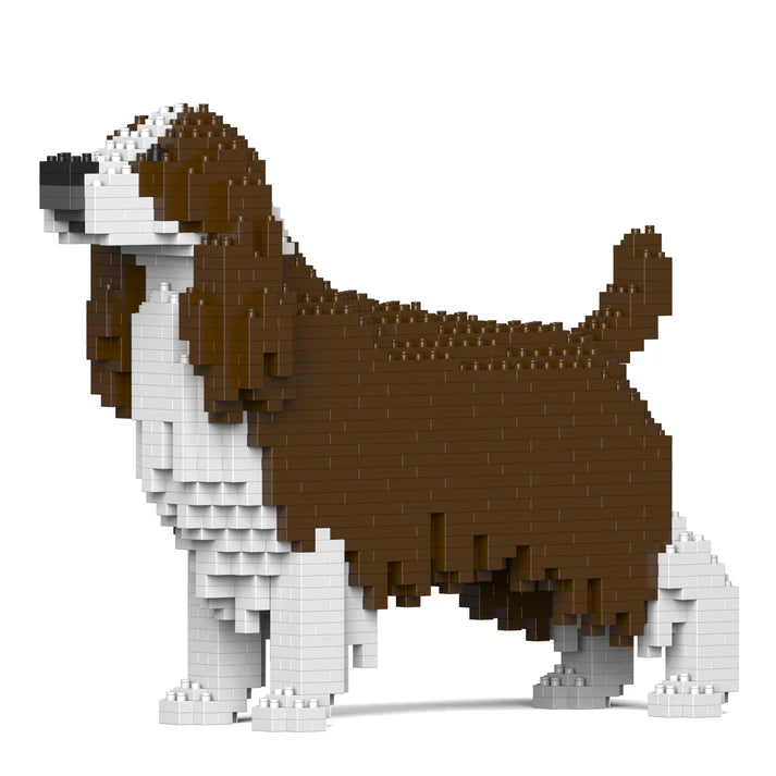 English Springer Spaniel 01-M03 