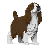 English Springer Spaniel 01-M03 