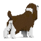 English Springer Spaniel 01-M03