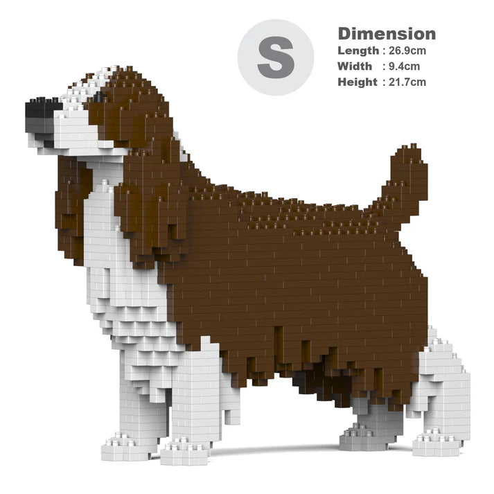 English Springer Spaniel 01-M03 