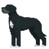 Deutsche Dogge 01-M02 