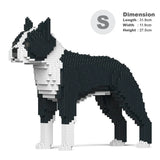 Boston Terrier 01-M01 